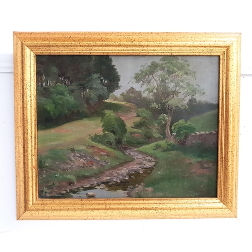 324 - THOMAS M PRATT
The garden burn, oil on canvas, faintly signed, 24.5cm x 34.5cm