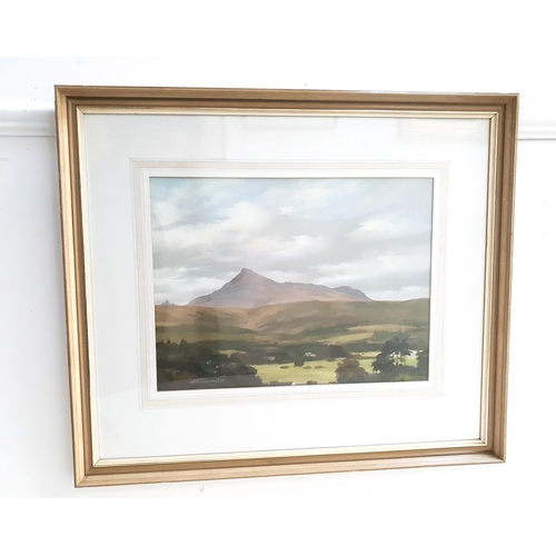 328 - A.W. THOMSON
Ben Lomond, acrylic on board, signed, 34cm x 45cm