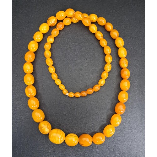 GRADUATED BUTTERSCOTCH AMBER BEAD NECKLACE
the largest bead 2.4cm long, approximately 86cm long and 84 grams