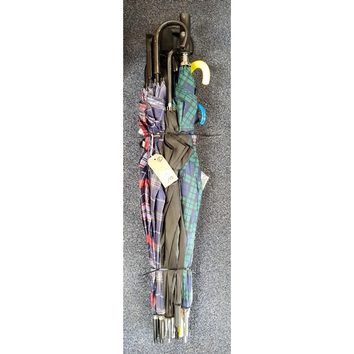 SELECTION OF TWELVE UMBRELLAS
including stick and golf styles