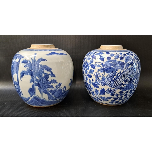 189 - TWO CHINESE BLUE AND WHITE GINGER JARS
one decorated with foliage and two dragons with five toes, 16...