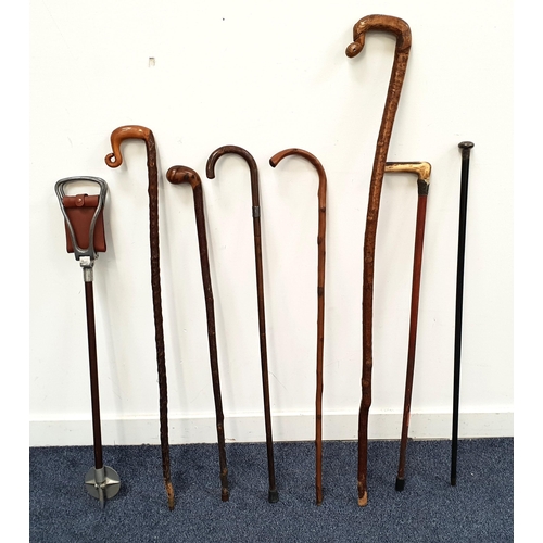 337 - SELECTION OF SEVEN WALKING STICKS
including a silver topped example, another with horn handle, two o... 