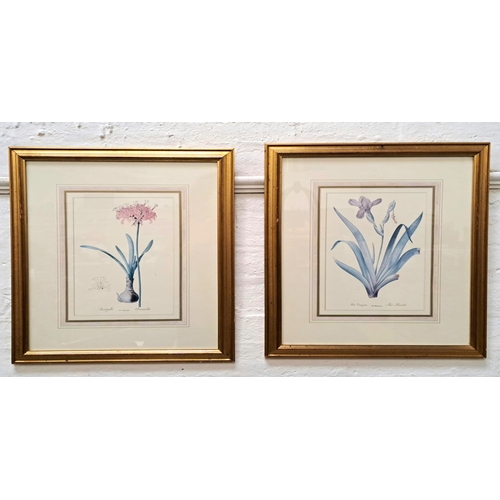 411 - P. J. REDOUTEI
Amaryllis and Iris, prints, 36.5cm x 26cm (2)