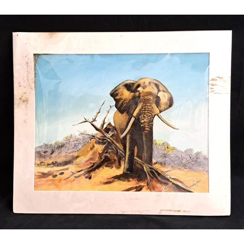 362 - CHRISTY FISHER 
Elephant, oil on board, signed, unframed 62 x 52cm