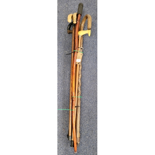 4 - SELECTION OF SEVEN WOODEN WALKING STICKS (7)