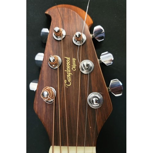 507 - TANGLEWOOD TM0-7 SEMI ACOUSTIC GUITAR
labelled as above, with sunburst finish