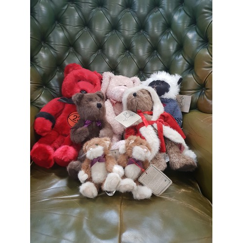 539A - A SELECTION OF BOYDS BEARS
including McNeil Mutton, Kringle, Keats, A Hare, with a Celebrity Michael... 