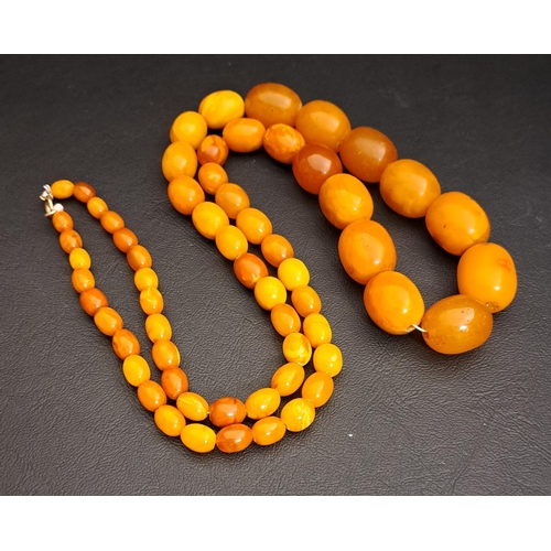 25 - GRADUATED BUTTERSCOTCH AMBER BEAD NECKLACE
the largest bead approximately 21.9mm long, the necklace ... 