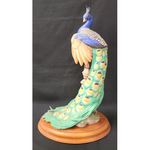 228 - FRANKLIN MINT BISQUE ROYAL PEACOCK ON STAND
made for the Royal Society for the Protection of Birds, ... 