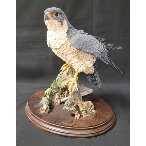 231 - BROOKS BENTLEY PEREGRINE FALCON
33cm high including wooden stand