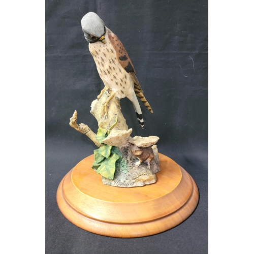 233 - BORDER FINE ARTS KESTREL AND MOUSE
'Kestrel and Mouse', model No. 032A by Victor Hayton, 24cm high w... 