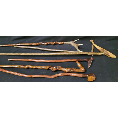 314 - FIVE VINTAGE WALKING STICKS
one with a staff carved in the form of a fish, another with antler (5)