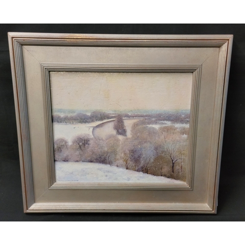 532 - KATALIN NEMETHY (BRITISH b. 1951)
Petersham Meadows, Richmond, oil on board, signed, image size 37cm... 