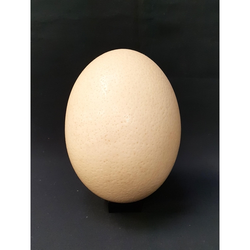 Lot 499       