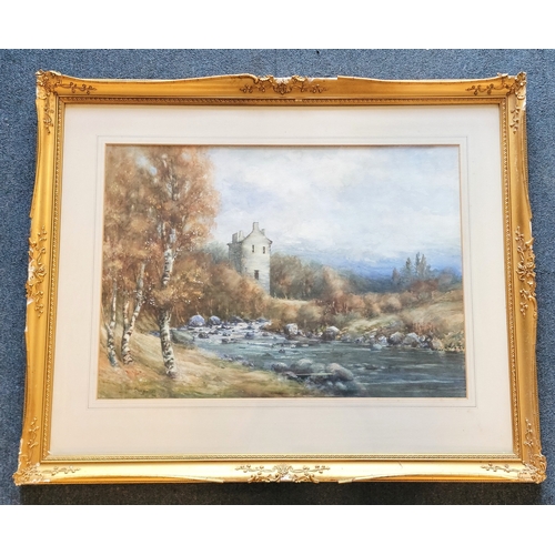 Lot 554       