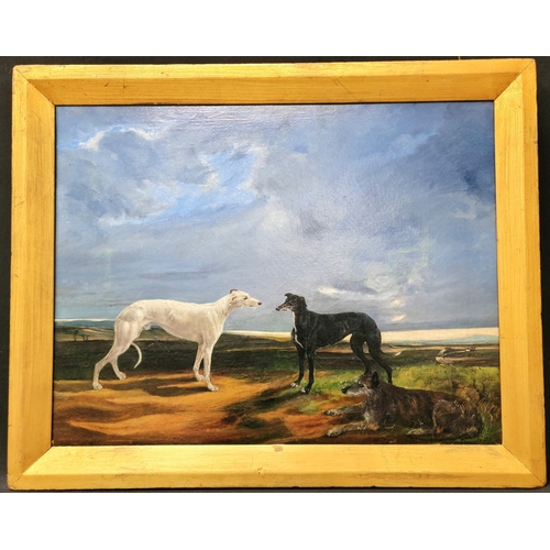 Lot 559       