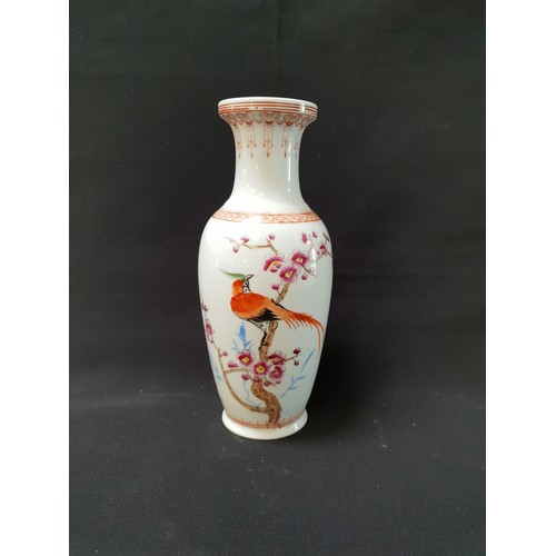 Lot 215       