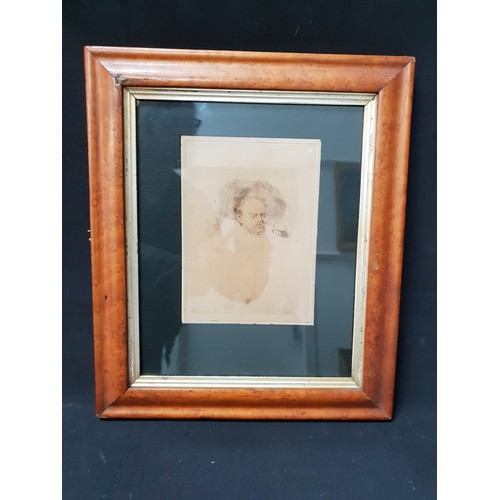 Lot 448       