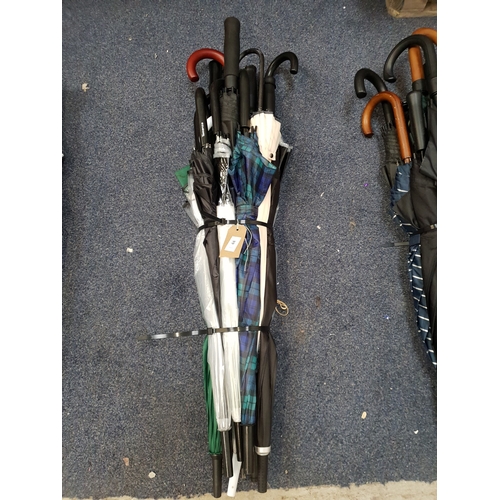 Lot 44        