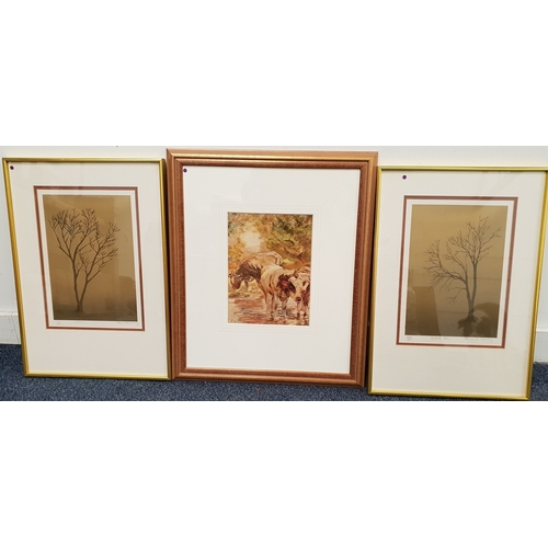 Lot 388       