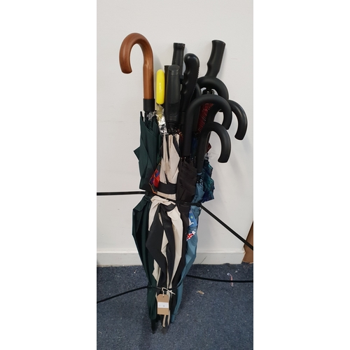 Lot 3         