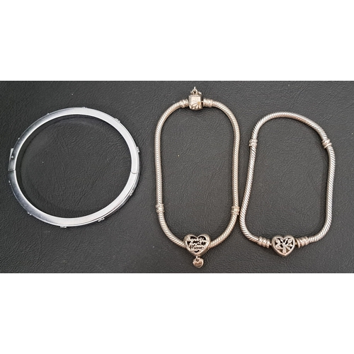 9 - TWO PANDORA SILVER BRACELETS
one a Moments Family Tree Heart Clasp bracelet; and the other a Garden ... 