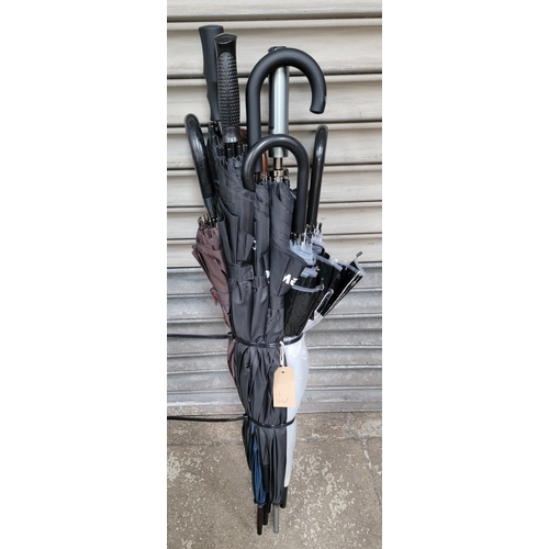 Lot 6         