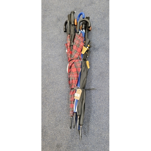 Lot 6         