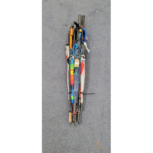 Lot 7         