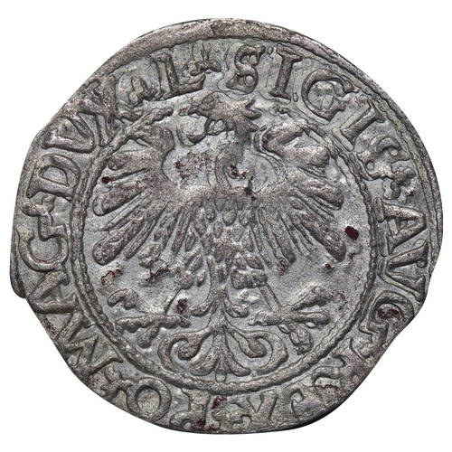 432 - Grand Duchy of Lithuania, Grand duke Sigismund II Augustus (1548-1572), Â½ groat, 1559 year, Billon,... 