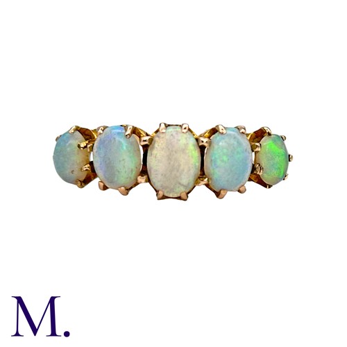Lot 71        