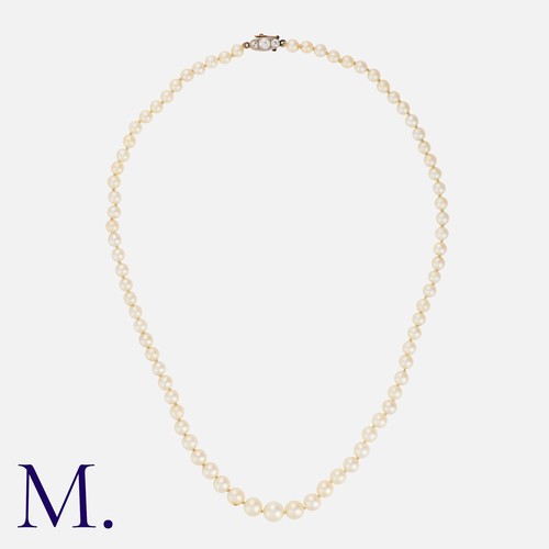 117 - A Pearl Necklace in yellow gold and silver, comprising a single strand of drilled pearls, measuring ... 