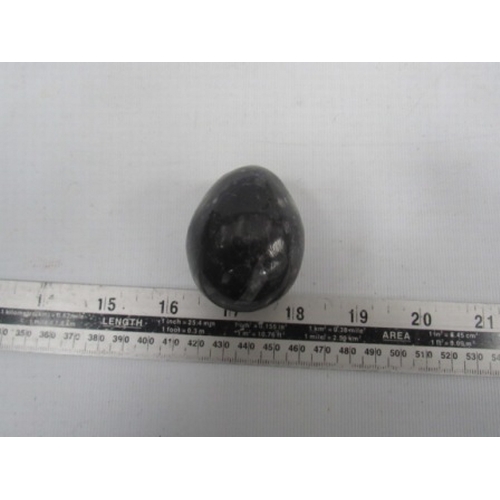 780 - Orthoceras polished egg