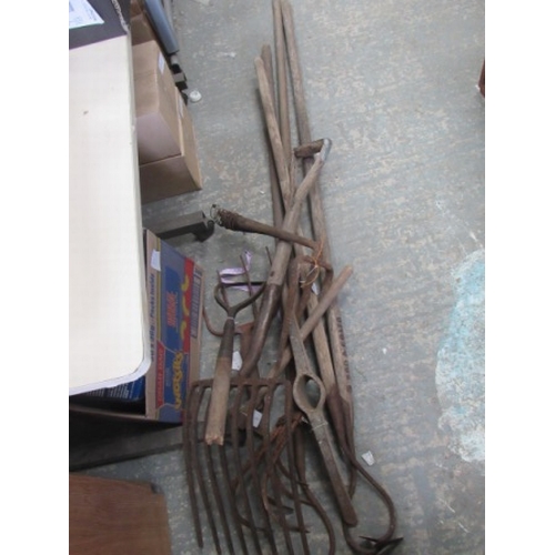 Lot 194       