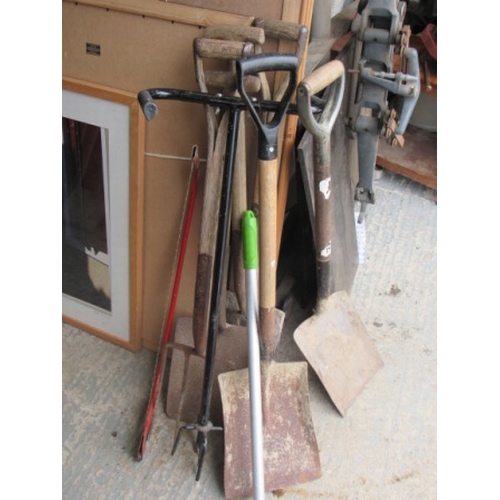 Lot 202       