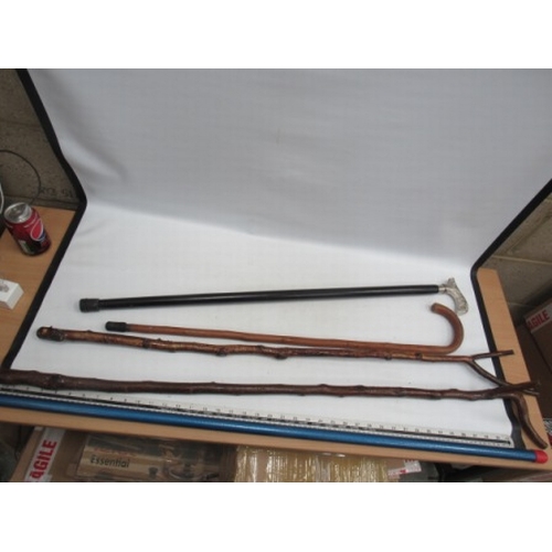 Lot 187       