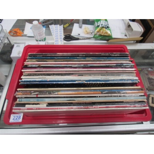 Lot 228       