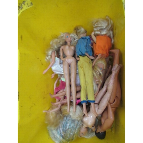 59 - Barbie Dolls