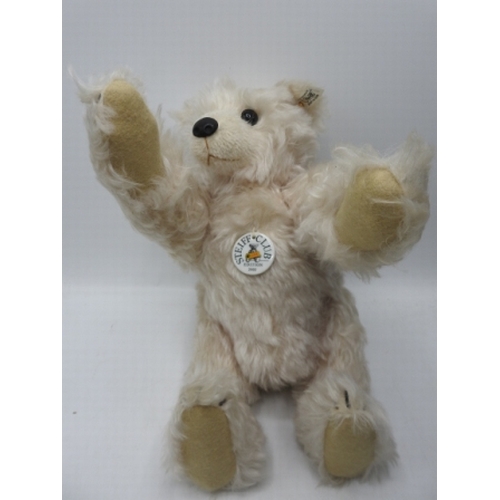 504 - Steiff Bear 28 LB 37cm