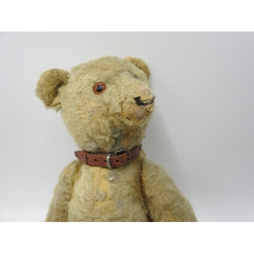 511 - Vintage Steiff Bear