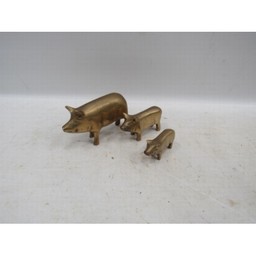 179 - 3 brass pigs