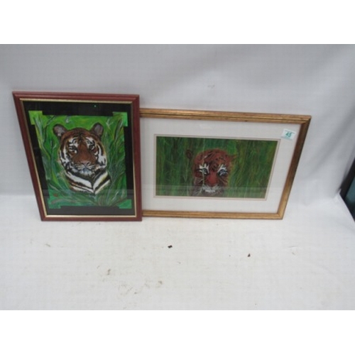 45 - 2 Framed Tiger Pictures