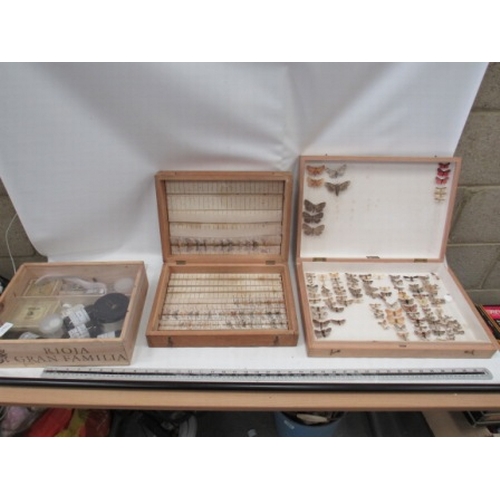 8 - 2 x Boxed butterfly displays + equipment