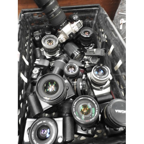 45 - Large Canon camera & lens collection