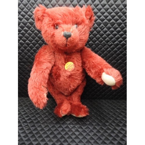 97 - Steiff Bear 15