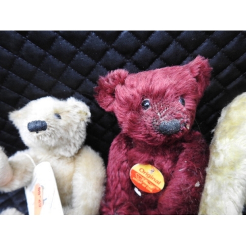 208 - 3 Small Steiff bears