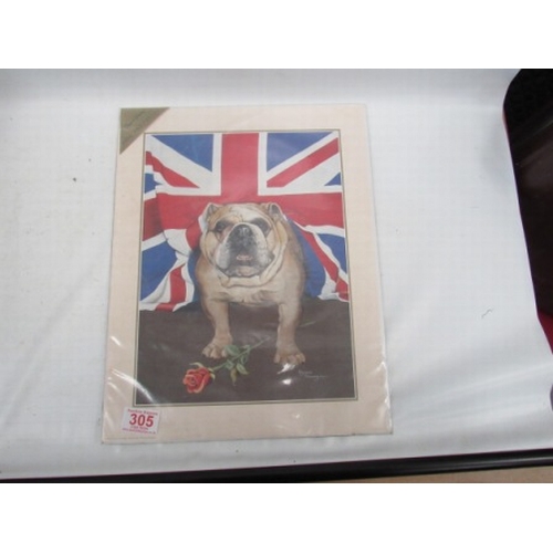 305 - British Bull Dog Print