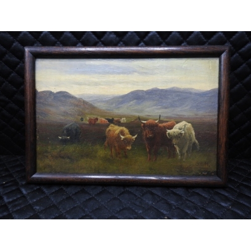88 - Small oil on board of Highland cattle, initialed S.E.H. Overall size 9