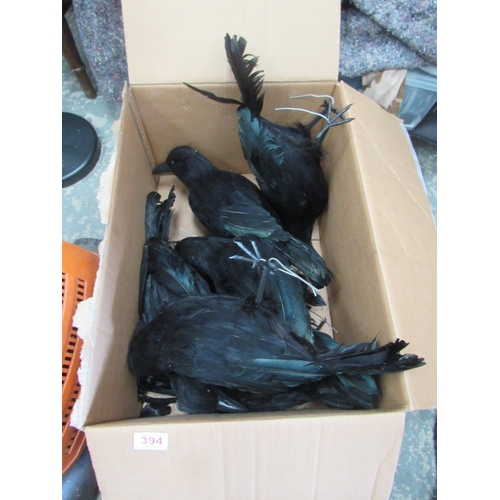 394 - Box of display birds