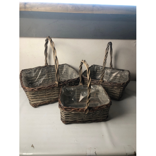 Lot 257       